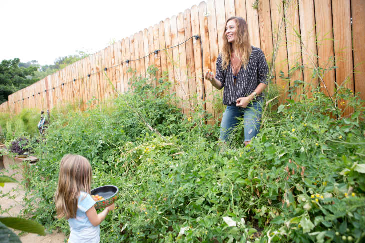 How To Make Natural Garden Pesticides Apartment Therapy